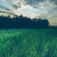 河南流行性积极能量短句美丽