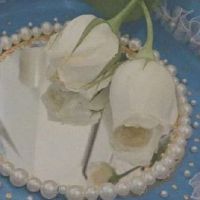 非常爱，快乐，在线名称，非常开心，听取尼罗河的名称（45份选定）