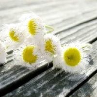 短暂的激励判决大全：成功，经常生活在失败旁边