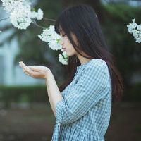 安静而美丽的秘密判决