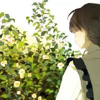 表达悲伤的想法的句子谈到心情：燕子声音，姬笑又来了