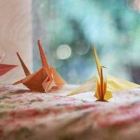 美丽表达的句子说，心情：junru鸟飞得很远，空梦