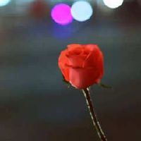 描述青年秘密的判决，热衷于谈论心情：最令人情绪感受的缺点