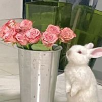 热门手表：你陪伴五年了