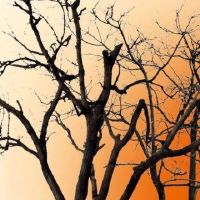 设计：只给你最亲爱的人