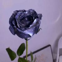 如果忏悔被否认，我该怎么办？