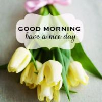 等待你的温暖心脏句子的温暖心脏句子，爱人回家热副本