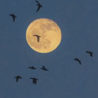 让人们泪流满面的悲伤昵称2022最受欢迎的网名