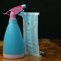 在流行病中，作者2022疫情问候的副本（选定了34个句子）