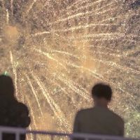 珍惜彼此的触摸报价并不容易珍惜句子