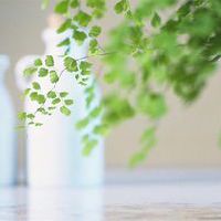 早上好，一个词，美丽的句子，励志，平静，心脏，积极的能量（选择30句）