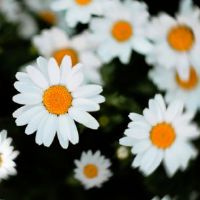 享受大自然的心情，谈论一个美好的心情