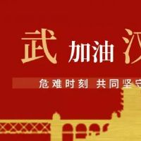 武汉加油在疫情后对抗句子