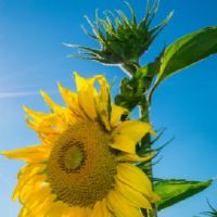 4月日你是一个经典报价，你是一个四个