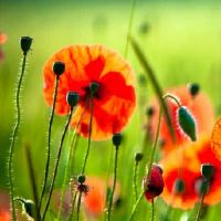 鼓舞人心的哲学报价