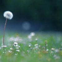 关于家庭着名的演讲