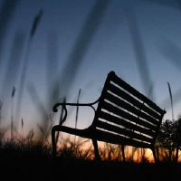 描述葡萄酒名称