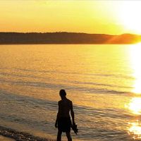 2022年情人节一个人的文学案