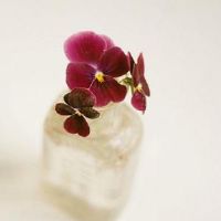 幸福谈论剧集描述自己的句子