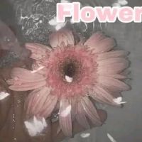 每日积极能量励志新的一天积极判刑