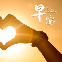 2022新的每日早晨副本80