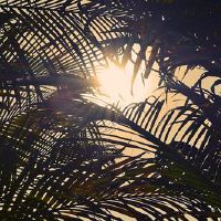 适合发送句子的朋友（选定的61句话）