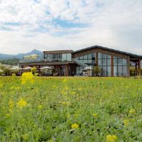 2022开始上学季节谈谈最新句子