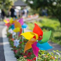 2022年开始学校朋友圈句子