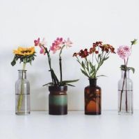 奖励一个同情的句子来拯救句子