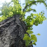 2022年冬季奥运会朋友圈说话短句