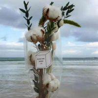 一个人委屈到哭的句子 心情低落很心烦的说说