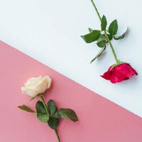 结婚幸福感言句子 婚礼感言的经典的句子