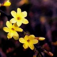 立春发朋友圈的唯美句子 2022立春好听的说说大全