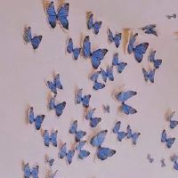 感觉自己成熟了的短句 经历一些事成熟的说说