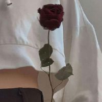 夫妻携手共勉的句子 知足而幸福的唯美句子