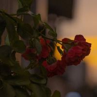 人总在一瞬间长大说说 瞬间让你长大的一句话