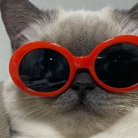 2022男生签名骚气又很霸气 最新精选个性男生签名大全