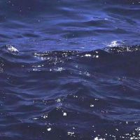 重度抑郁崩溃的说说 最新重度抑郁症的伤感语录