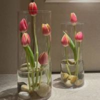 微信签名一句话正能量 心态好格局大的签名2022