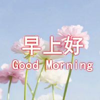 开启一天好心情的句子说说文案