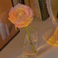 温柔又不失个性的微信签名 2022简洁温柔的个性签名