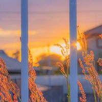 以后不需要任何人的说说 从此不再靠任何人的说说