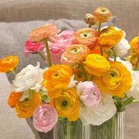 让人感动的情人节文案 2.14情人节很煽情的爱情说说