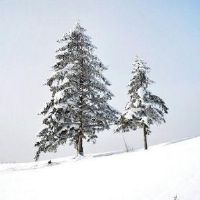 关于大寒的图片说说大全 2022最新大寒说说带图片大全