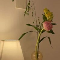 压力大很累的句子 中年人生活很无奈的说说