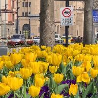 下班了放松心情说说 下班后的惬意生活说说