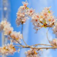 知足而幸福的唯美签名 对生活满足的唯美句子(精选37条)