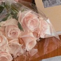 2022全新很火的二字个性昵称 两个字稀有的个性网名