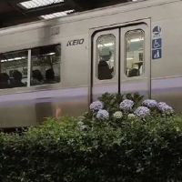 每晚都是一个人的短句 一个人的夜晚心情说说