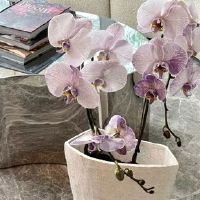 生活疲敝不堪的句子 生活很苦现实很的说说